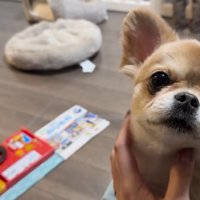 その後、機嫌が直って一安心♪