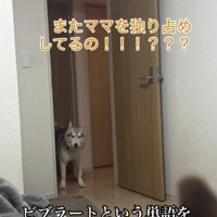 「またママを独占してる！！」