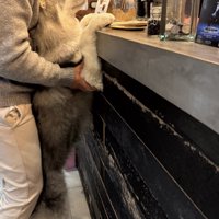 「カフェラテをひとつ…」