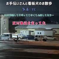 積雪の上とは思えない華麗な走り