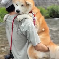 完成した抱っこ