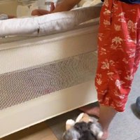 「これこれ！！」