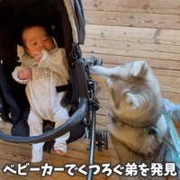 赤ちゃんといちみちゃん