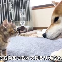 すぐに仲良くなれそう！