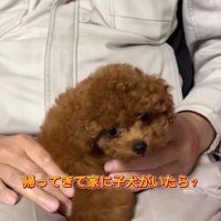 ベベさんを抱っこするお父さん