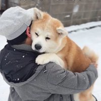 お家まで抱っこしてあげることに