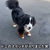 スイッチオン！