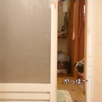 そばで待っていてくれるよう
