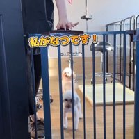 はるちゃん＆なつちゃんのお迎え9