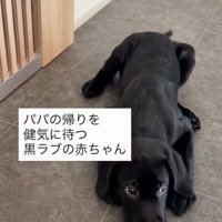 パパが早く帰ってきますように