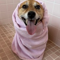 お風呂