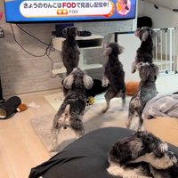 なんとも微笑ましい光景