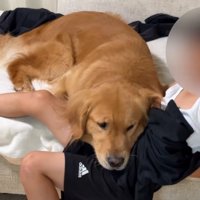 ずり落ちている男の子