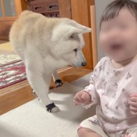 ゼロ距離で近づいて…