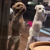 露天風呂を満喫していると…