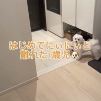 初めて離れ離れに