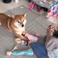 手にお人形を乗せられて困惑