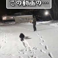 くるっと振り向いたら…