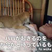 パパを起こすのが日課♡