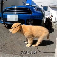 地面に下ろしてあげたら…