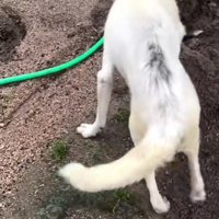 保護して2日後…