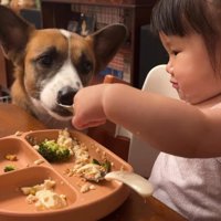 食事の時間もおすそ分け