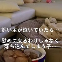 涙を流していたら…