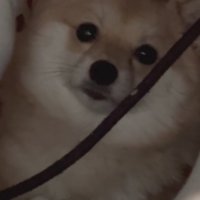 「まさか見てないよね…？」