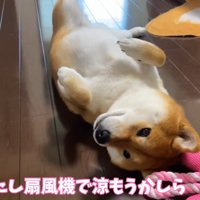 「疲れたから休憩しよう～っと」