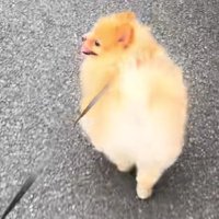 「楽しいね！」