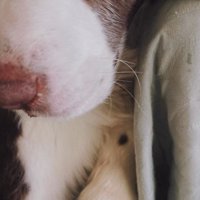 女の子が撮ったププくんの写真5
