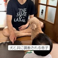 ムーちゃんの横を指さすパパ