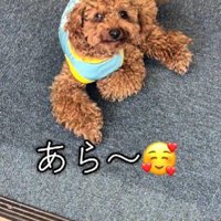 可愛らしい姿にキュン♡