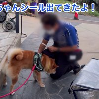 「シールも買ったよ」