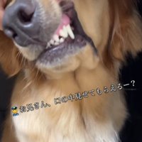 なにか咥えてる！！