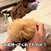 頷くようなくぅちゃん