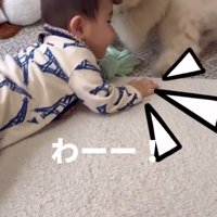 孫を預かった時のチャイちゃん5