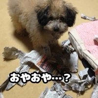 いたずらをする大地くん