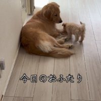 現在のふたり