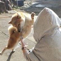 ダンス