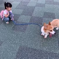 お散歩係は娘さん！！