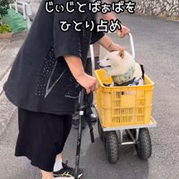 おじいちゃんとおばあちゃんを独り占め