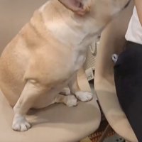 粘り強く交渉中