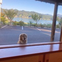 すっかり恒例の光景♪