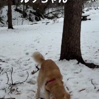 懲りない姿が逞しい♪