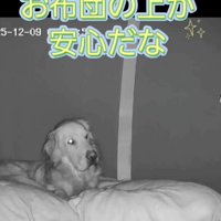 「今日はここにしよ」