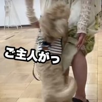 投稿主さんのもとへ