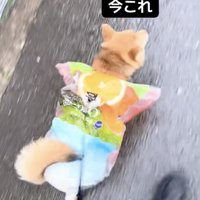 即席でカッパを作成！