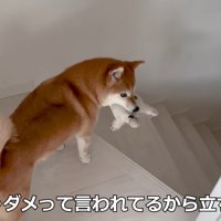一緒に女の子を起こしに行きます