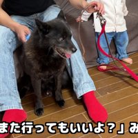 「行ってもいいけど…」